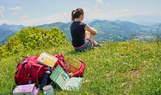 La saga de l’été au terrier (3/4) - Cet été, tous à la montagne !