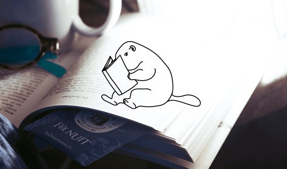 Versant Secret : le livre coup de cœur des 2 Marmottes