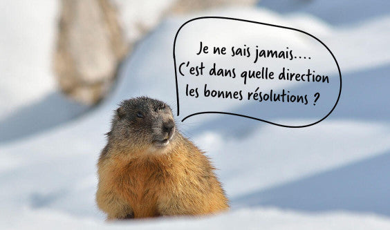 Les résolutions des 2 marmottes