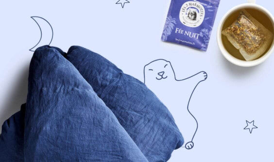 Certaines tisanes permettent-elles vraiment de mieux dormir ?