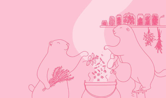 Avalanche de nouveautés chez Les 2 Marmottes