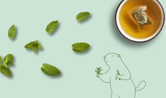 Pourquoi le thé et la menthe étaient-ils faits pour s’entendre ?