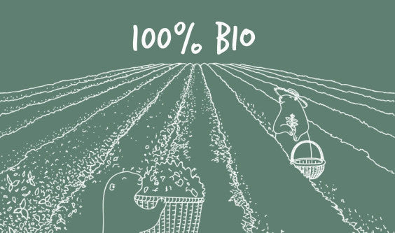 Infusions et thés BIO : la nature a du bon chez Les 2 Marmottes !