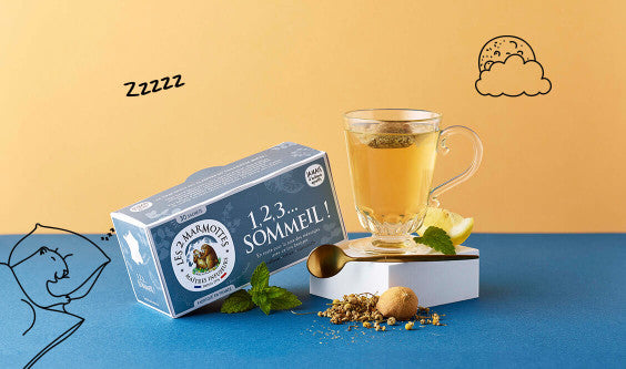 Tisanes du soir, lesquelles choisir ?