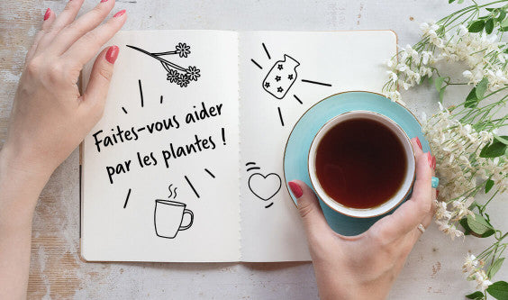 Deux infusions pour calmer les douleurs pendant les règles douloureuses