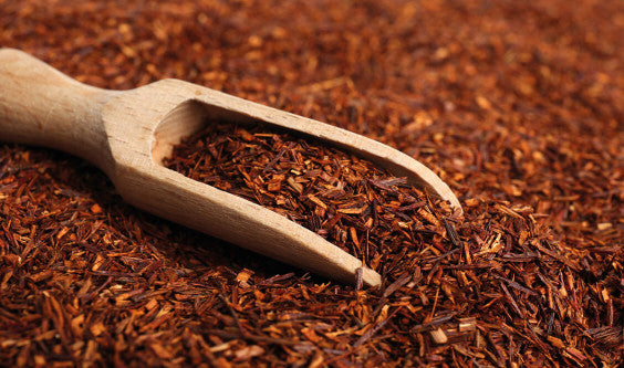 Le Rooibos , le « thé rouge » qui roule sa bosse !