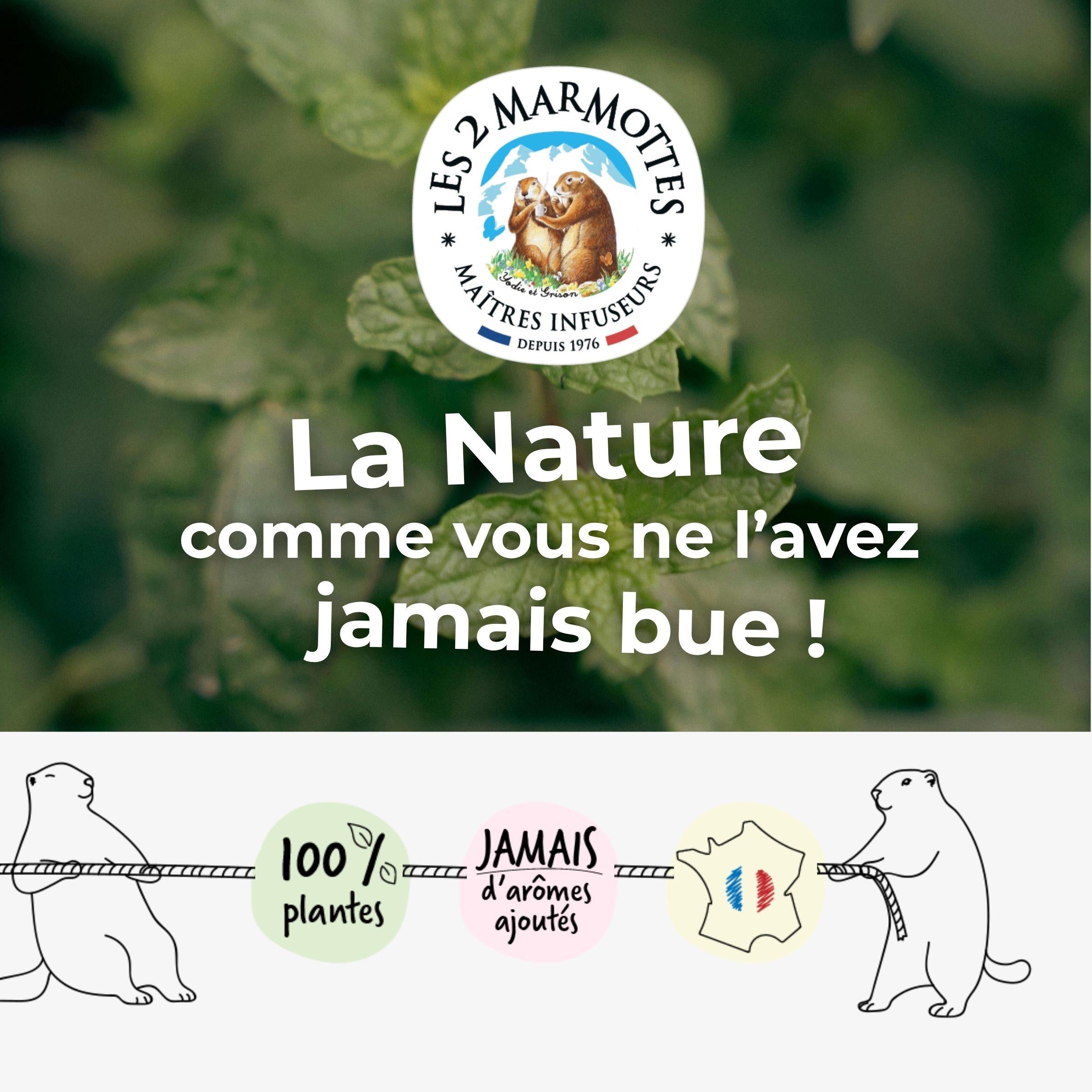 Les 2 marmottes, la nature comme vous ne l'avez jamais bue : infusions et thés 100% plantes, sans jamais d'arômes ajoutés, made in france