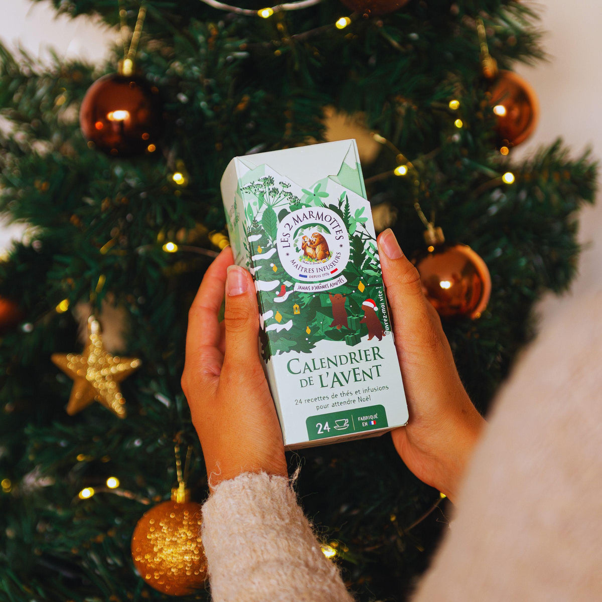 petit Calendrier de l'avent compact thés et tisanes, 24 sachets différents pour attendre noel