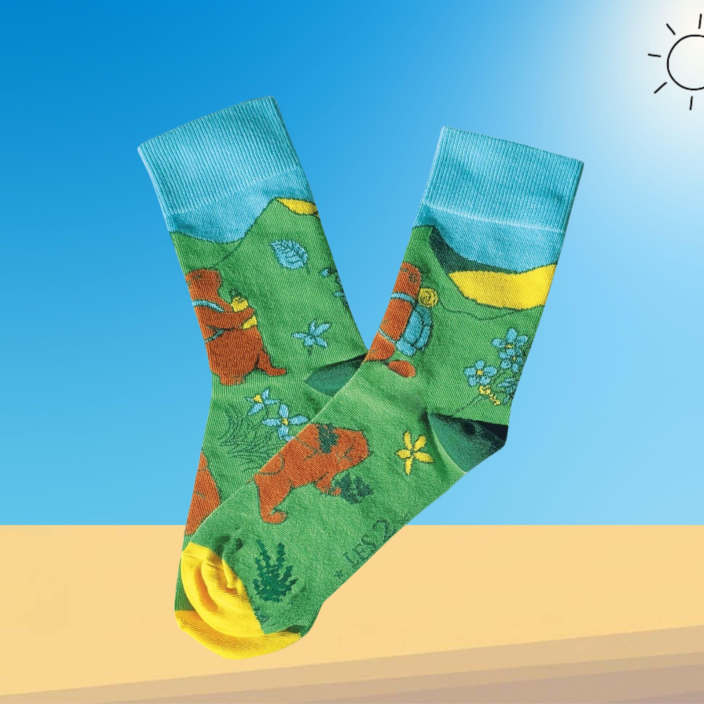 Chaussettes