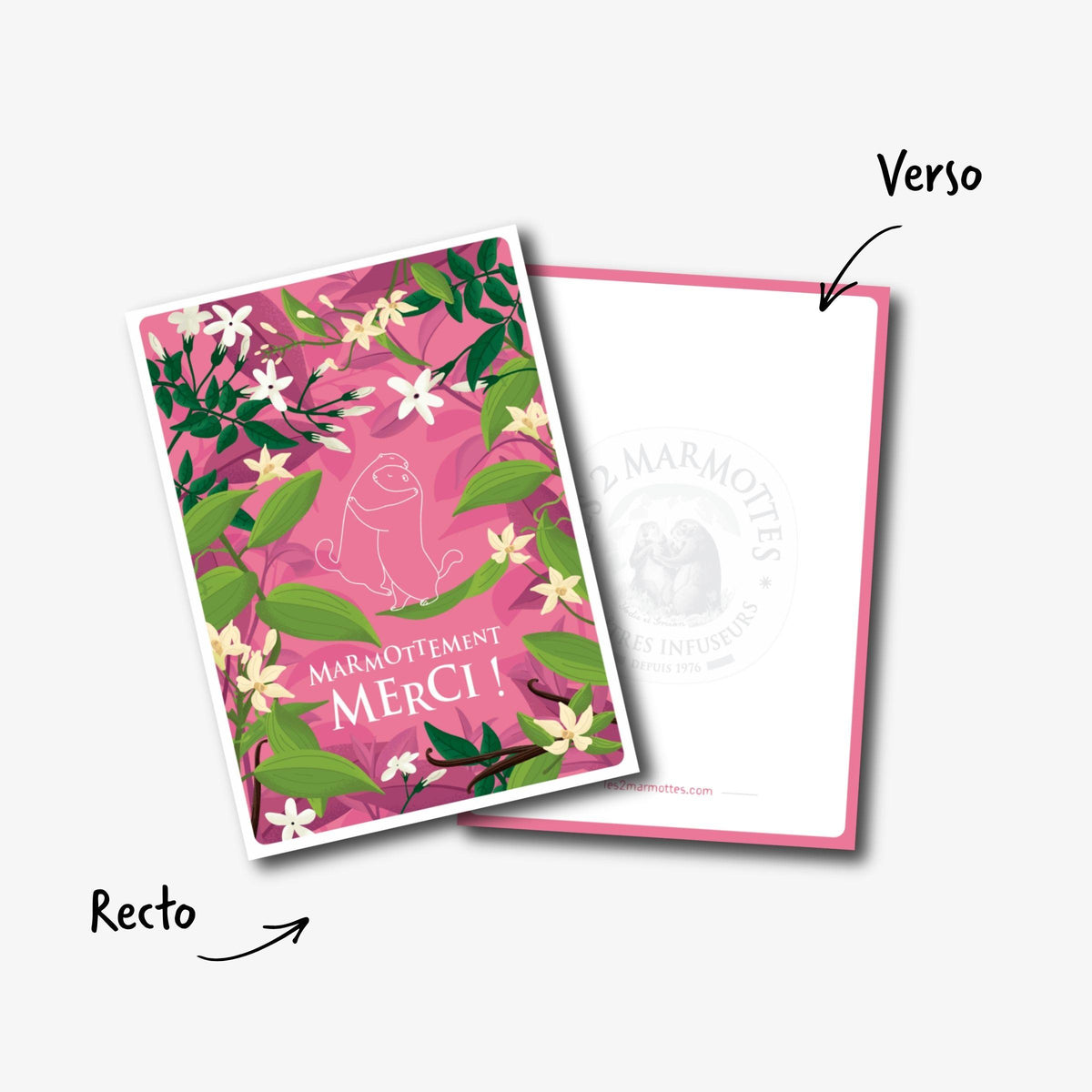 Détail recto verso carte postale rose marmottement merci