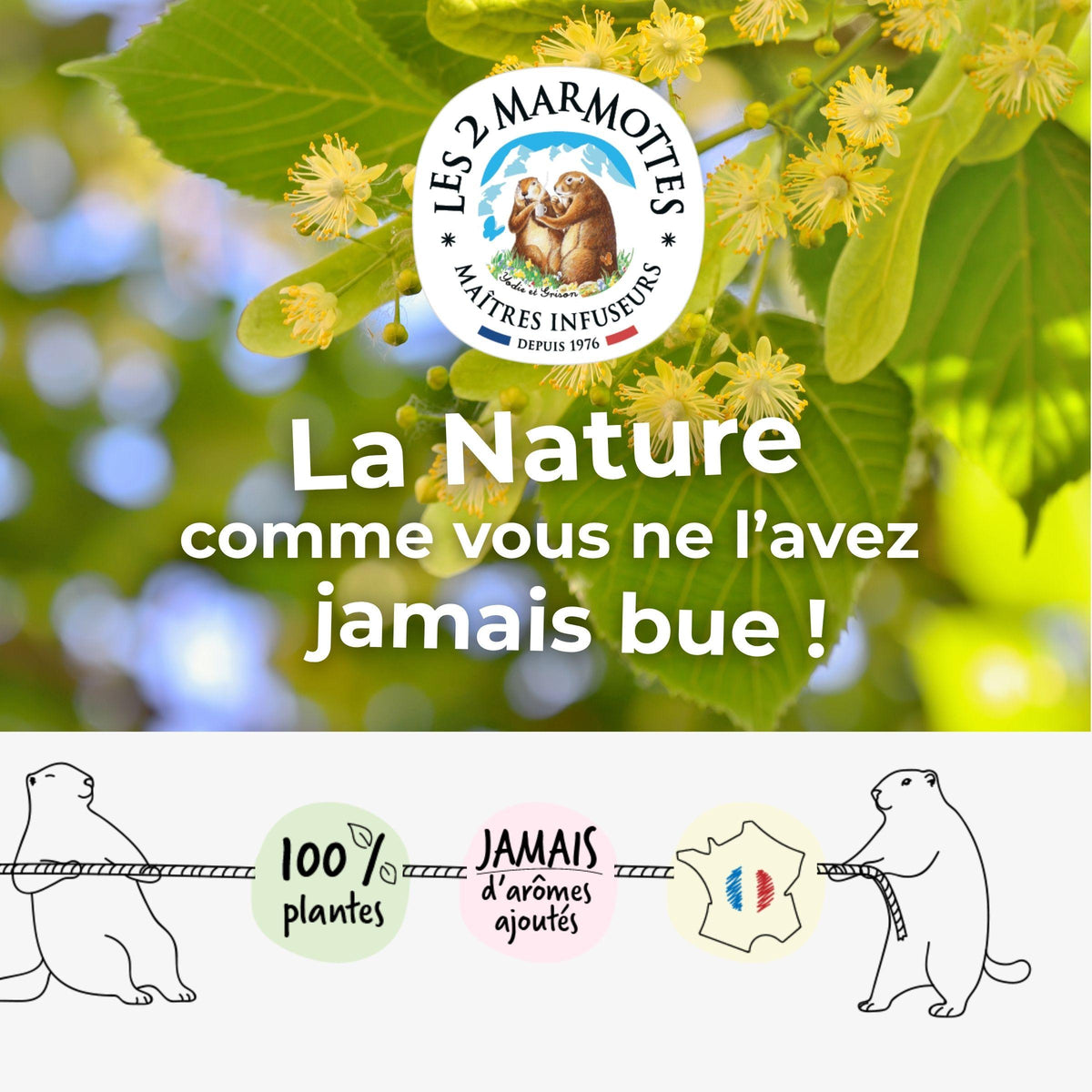 Les 2 Marmottes, la nature comme vous ne l'avez jamais bue ! Toutes nos tisanes et thés sont made in france et 100% plantes, sans jamais tricher sur le goût avec des arômes ou des extraits.