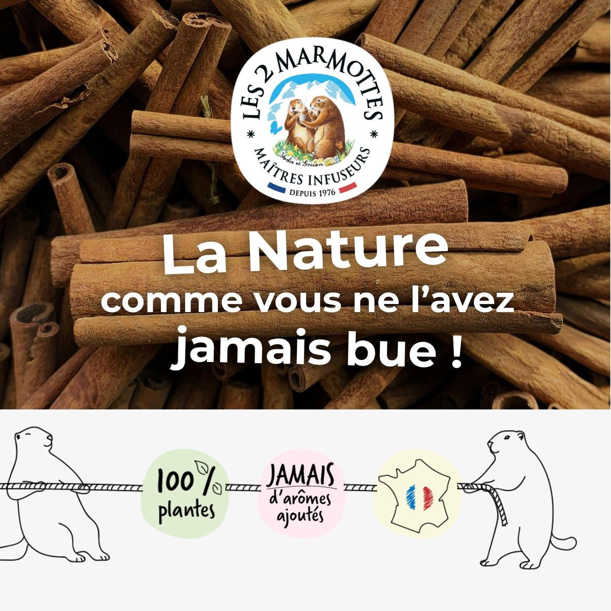 Les 2 Marmottes, la nature comme vous ne l'avez jamais bue ! Toutes nos tisanes et thés sont made in france et 100% plantes, sans jamais tricher sur le goût avec des arômes ou des extraits. Nos tisanes à la cannelle et nos thés aux épices n'utilisent que des vraies écorces de cannelle, aucun arôme de cannelle.