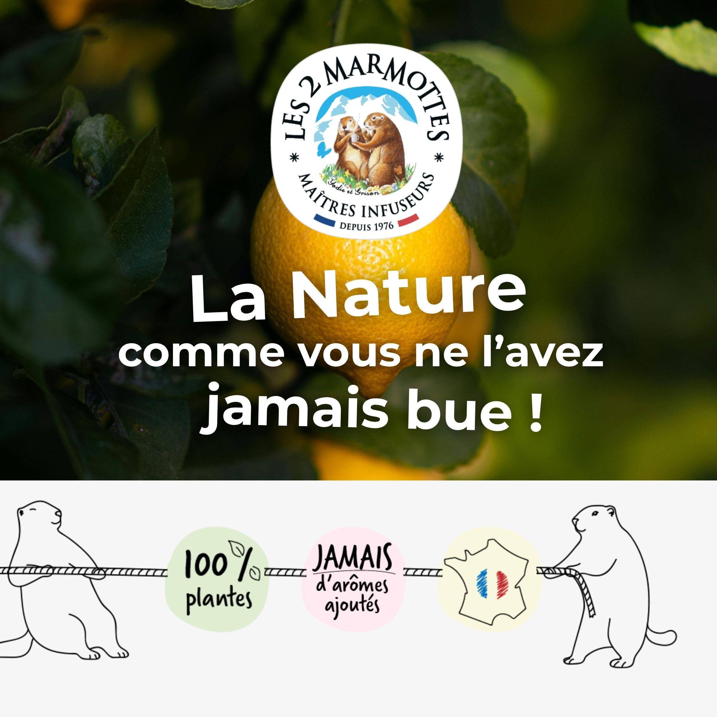 Les 2 marmottes, fabricant français d'infusions tisanes et thés 100% plantes, sans arômes ajoutés. Nos tisanes au citron et nos thés citrons sont garantis sans arômes ajoutés, sans ajout d'extraits ni d'huiles essentielles. Nos maîtres-infuseurs utilisent uniquement du vrai citron : fruit, écorce, zeste... Le vrai goût de la nature dans la tasse !