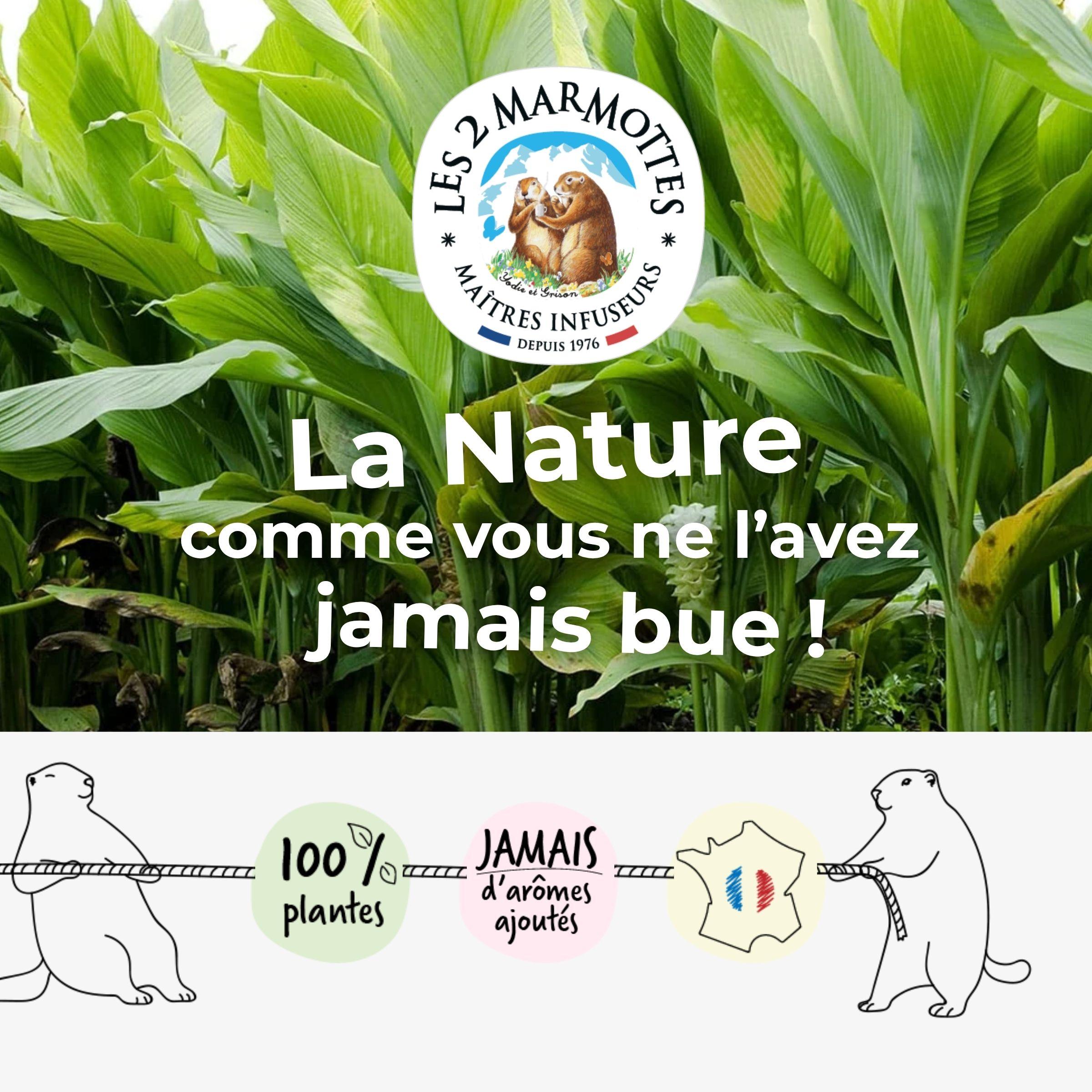 Les 2 marmottes, fabricant français de tisanes, infusions et thés depuis 1976. Maîtres-infuseurs depuis 1976. Toutes nos recettes sont 100% plantes, sans arômes ajoutés, sans extraits de plantes, sans huile essentielle. Nos tisanes au curcuma sont fabriquées uniquement à partir de rhizomes de curcuma. Le vrai goût de la nature dans la tasse !