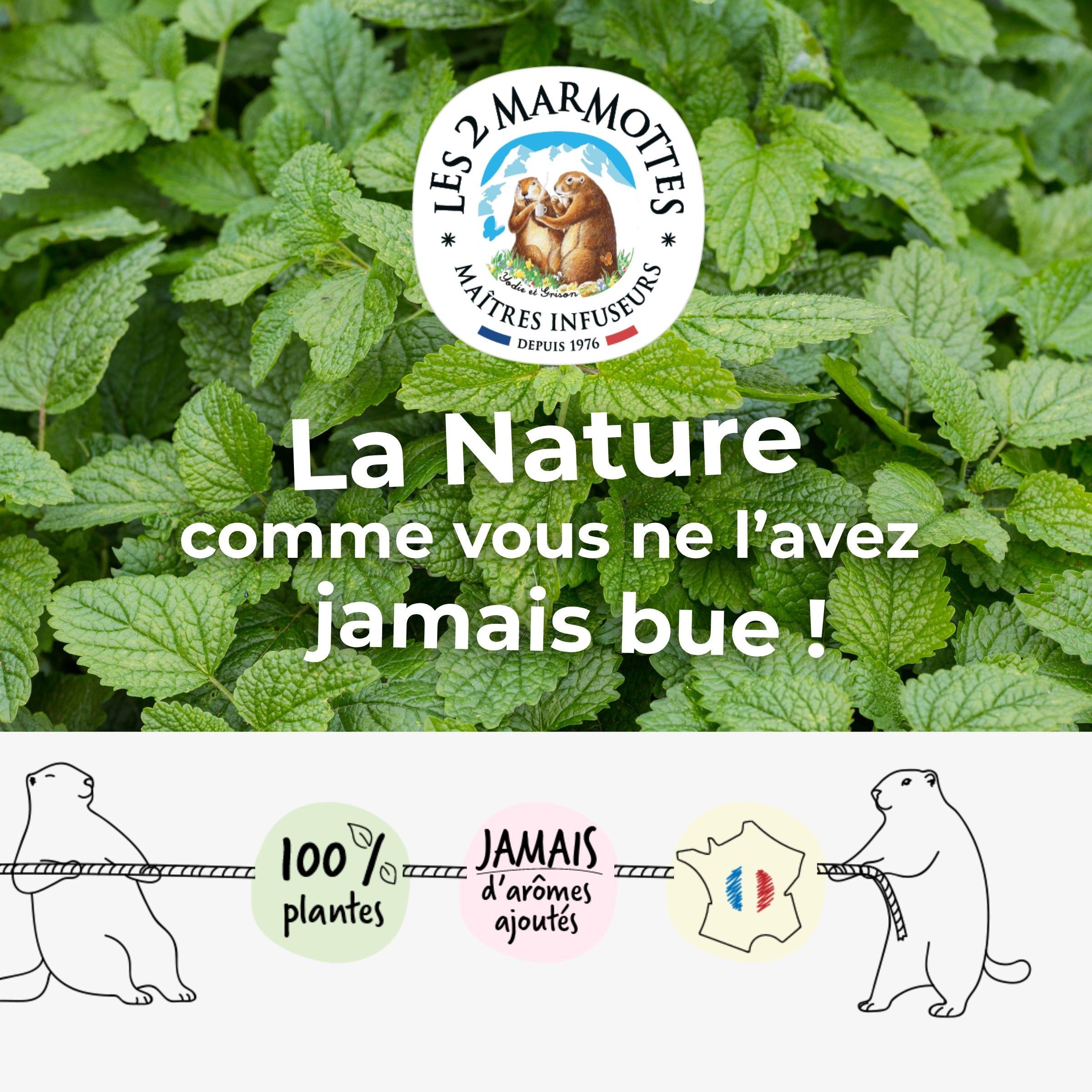 Les 2 marmottes, la nature comme vous ne l'avez jamais bue ! Infusions et thés au goût authentique des plantes, recettes 100% plantes sans arômes ajoutés ni extraits ni huiles essentielles. Nos tisanes à la mélisse utilisent uniquement des feuilles de mélisse.