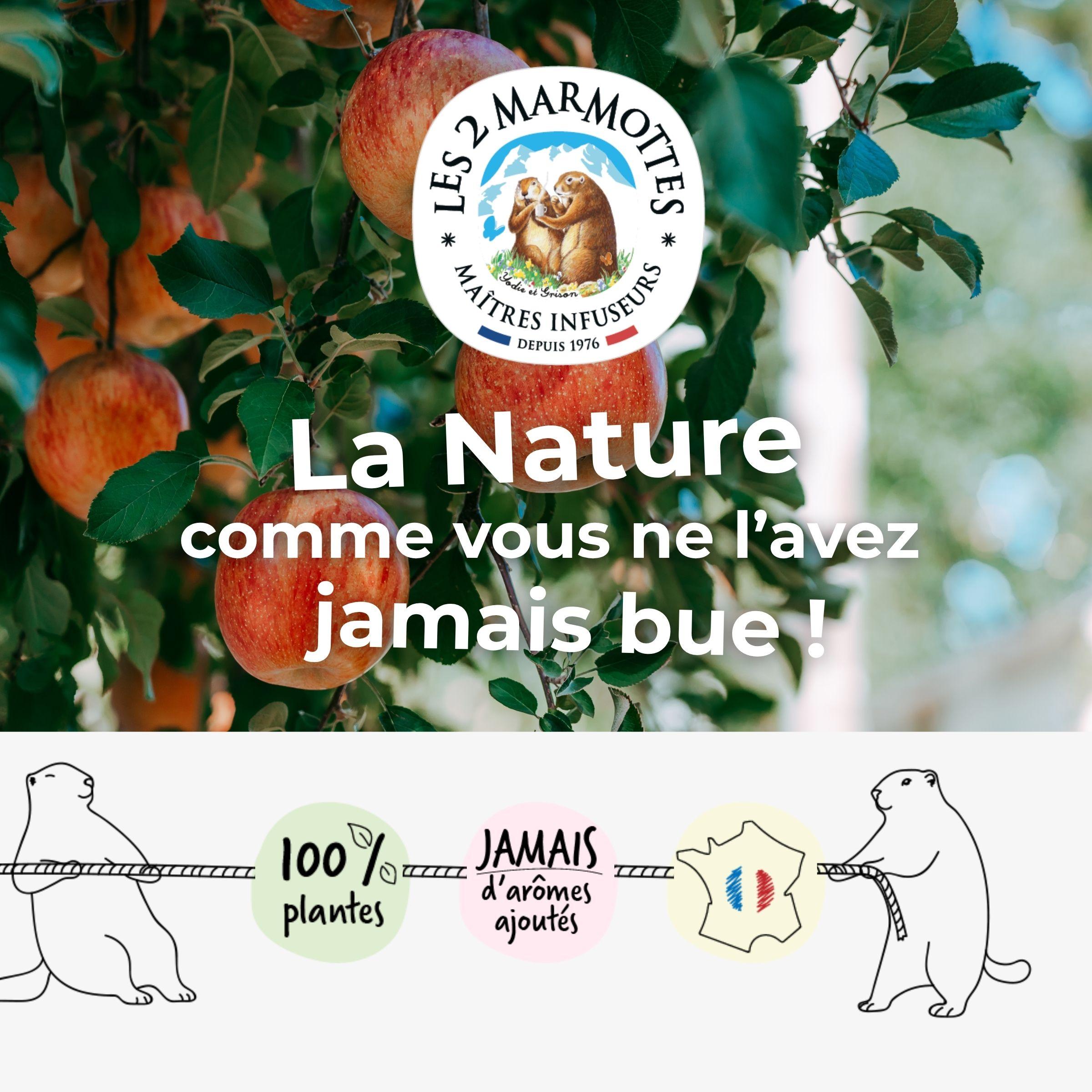 Les 2 Marmottes, fabricant français de tisanes infusions et thés depuis 1976. Recettes naturelles 100% plantes sans aucun arômes ajoutés. Nos tisanes et thés à la pomme n'utilisent que de la vraie pomme, aucun arôme ni extrait.