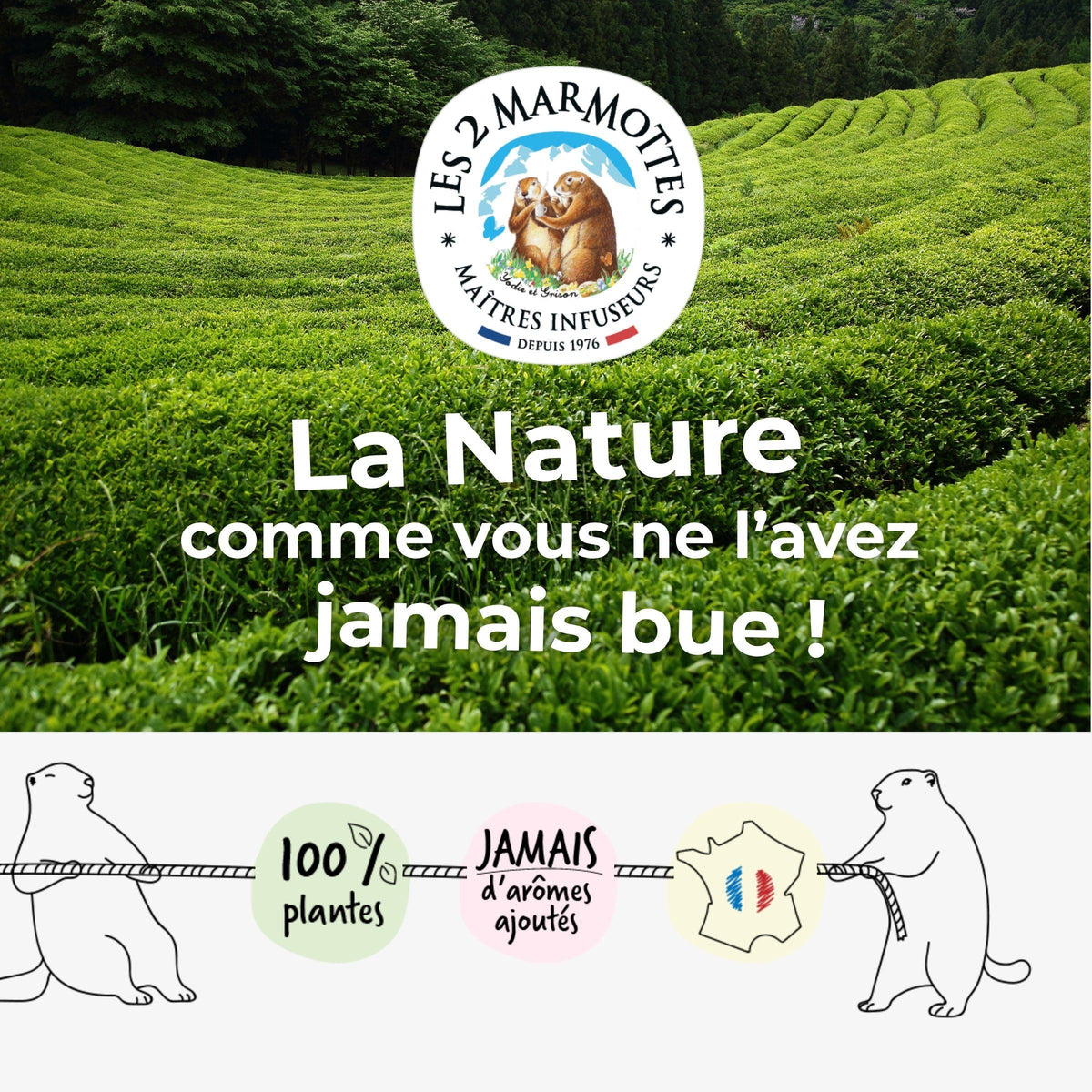 Toutes les infusions et thés les 2 marmottes sont fabriqués en France (Haute-Savoie) avec de vraies plantes et fruits, sans aucun arôme ajouté.