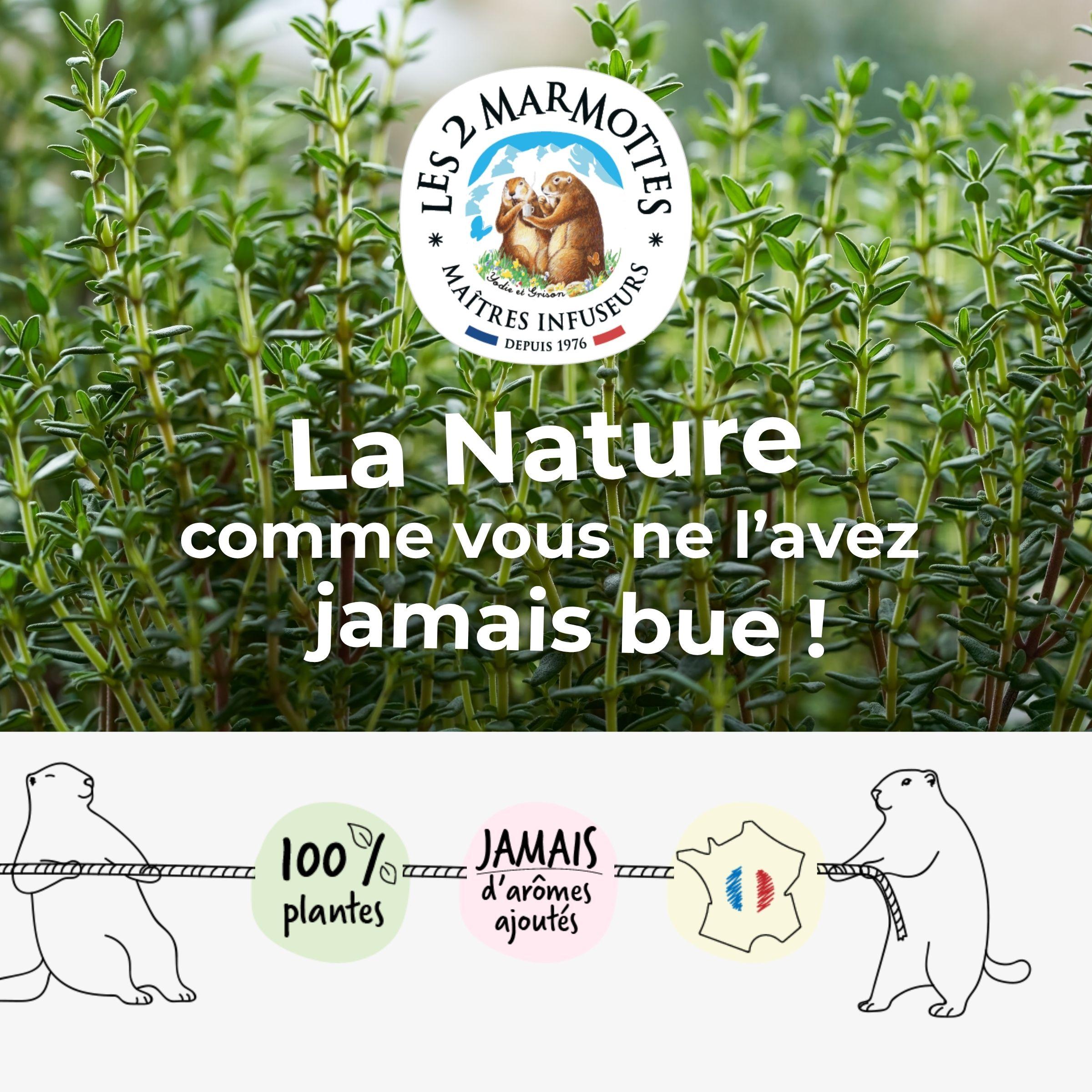 Les 2 marmottes, fabricant français de tisanes, infusions et thés 100% plantes. Maîtres-infuseurs depuis 1976. Nos tisanes de thym sont élaborées uniquement à partir de feuilles de thym coupées, sans aucun arôme ajouté, ni ajout d'extrait ou d'huile essentielle. Le vrai goût du thym dans la tasse !