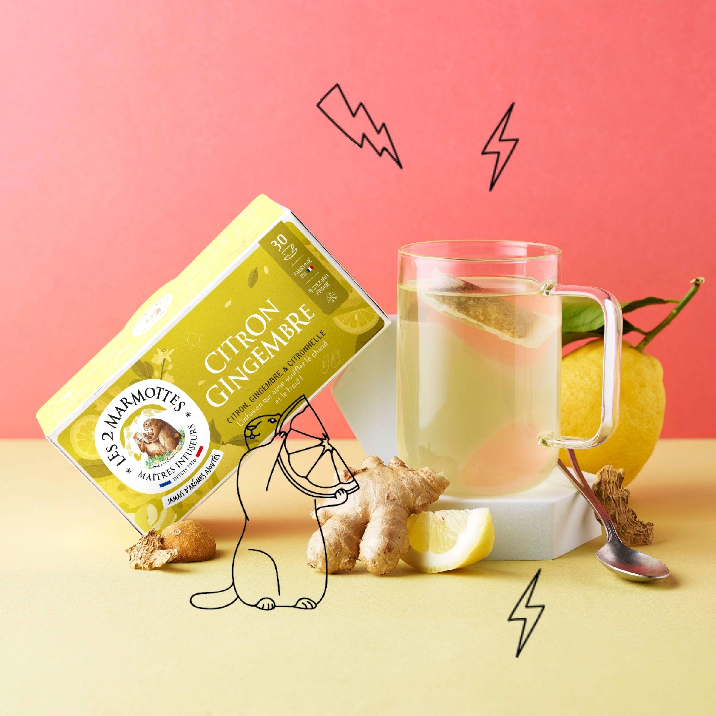 Tisane Citron Gingembre Sarriette citronnée sans arômes ajoutés