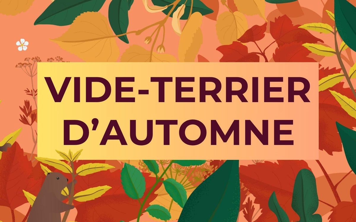 Vide terrier : promotions et réductions les 2 marmottes