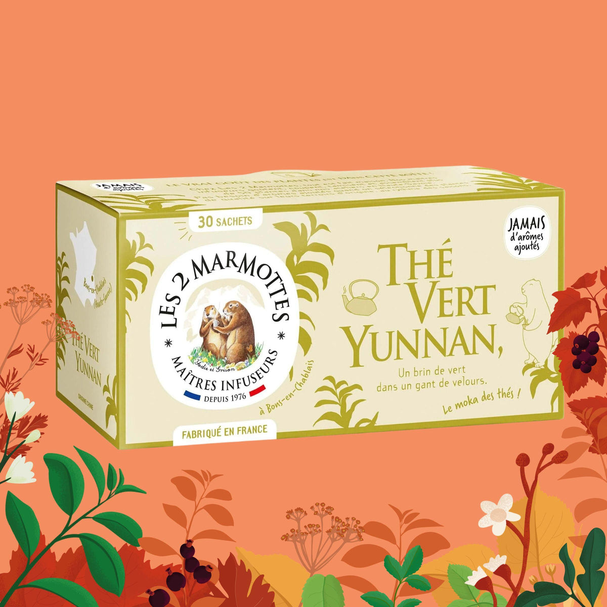 Thé Vert Yunnan