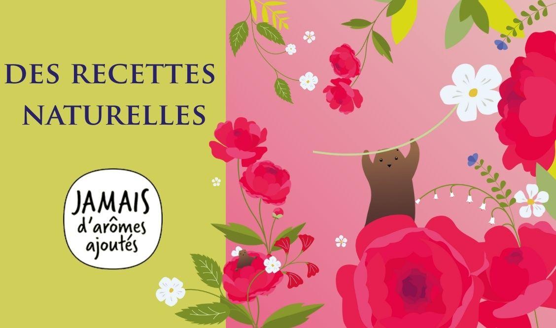 Recettes d'infusions aux plantes et fruits sans arômes ajoutés