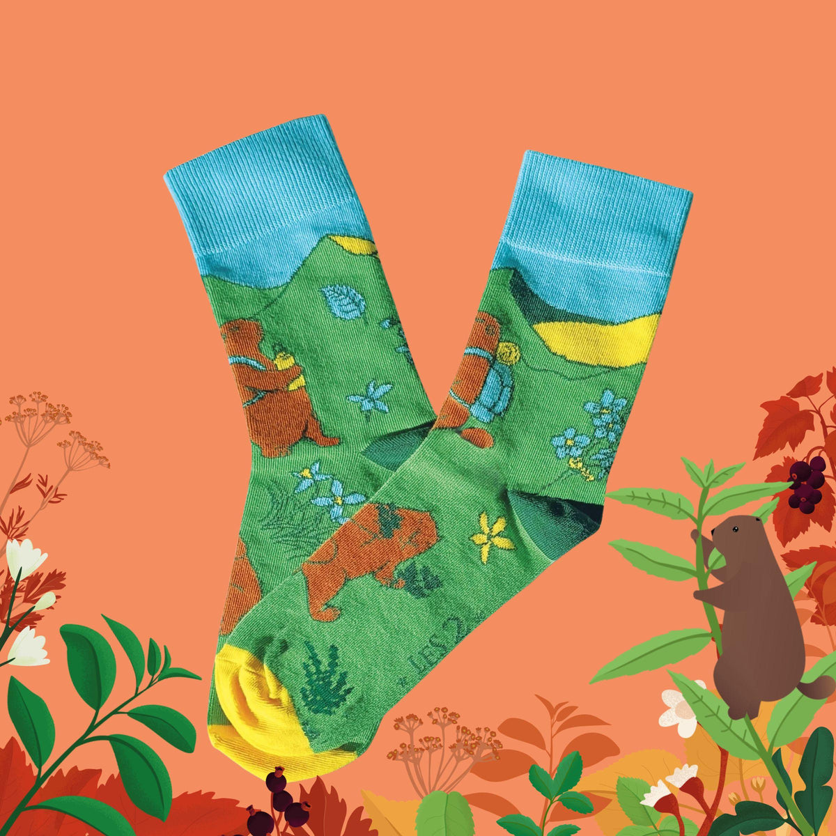 Chaussettes
