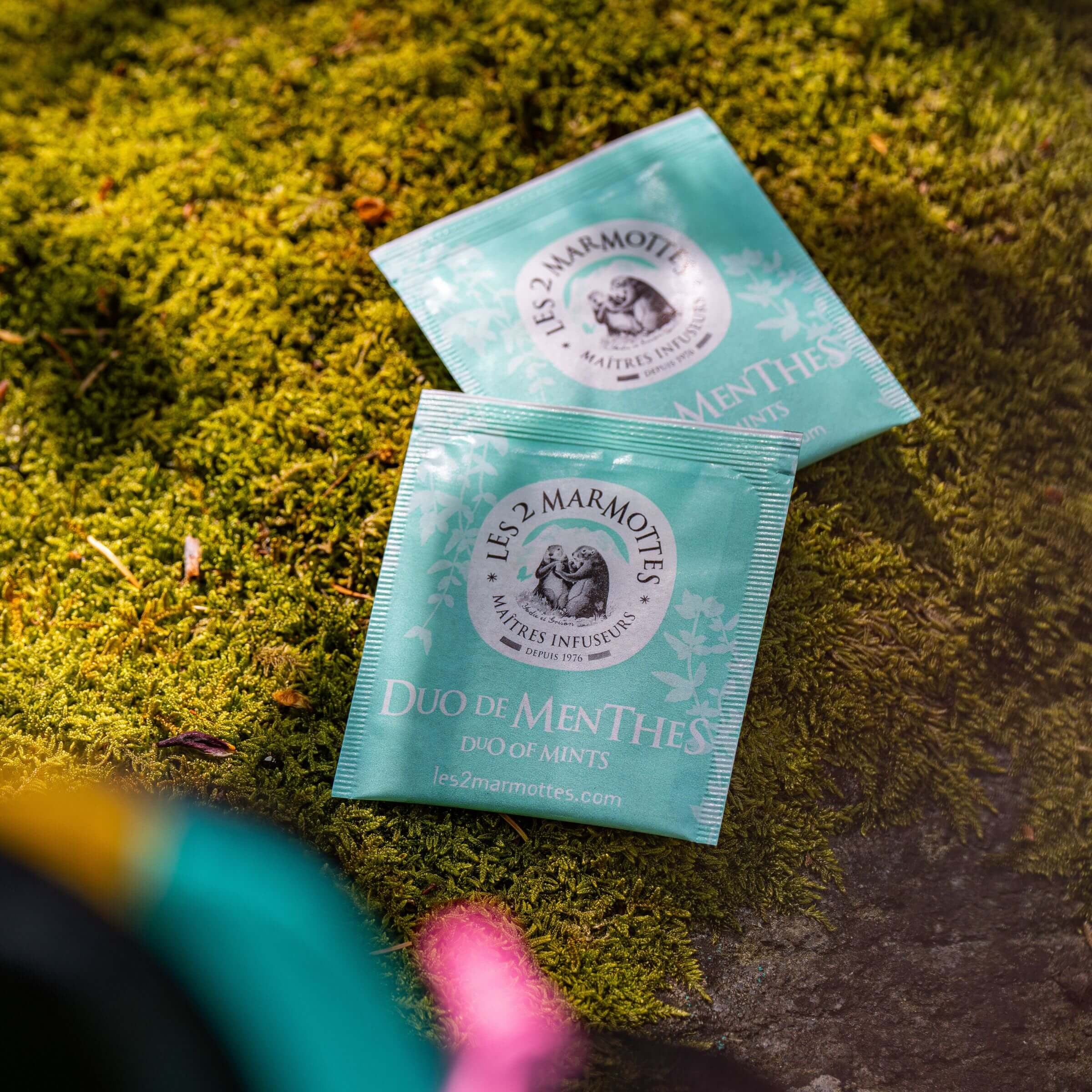 sachets tisane bio à la menthe duo de menthes, menthe douce et menthe poivrée, à boire en tisane chaude ou tisane glacée