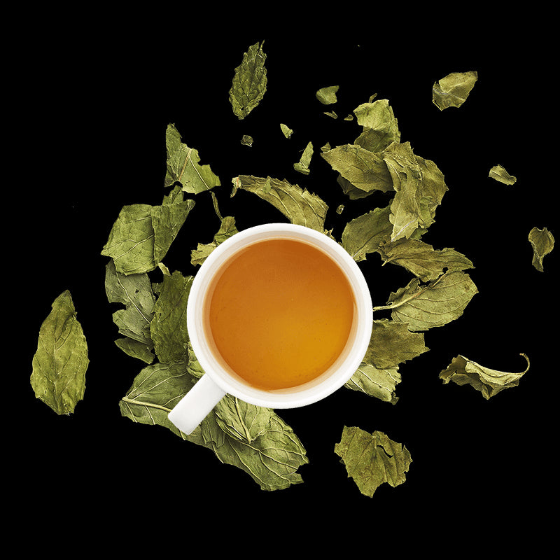 Tasse d'infusion de menthe avec menthe séchée
