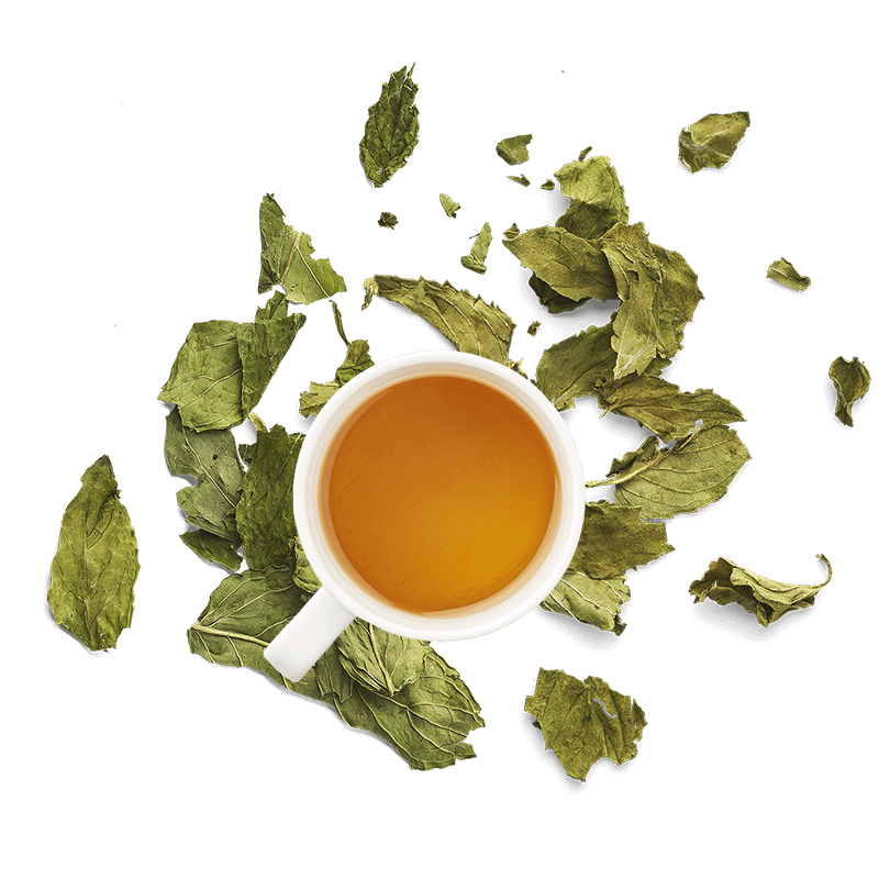 Tasse d'infusion de menthe avec menthe séchée