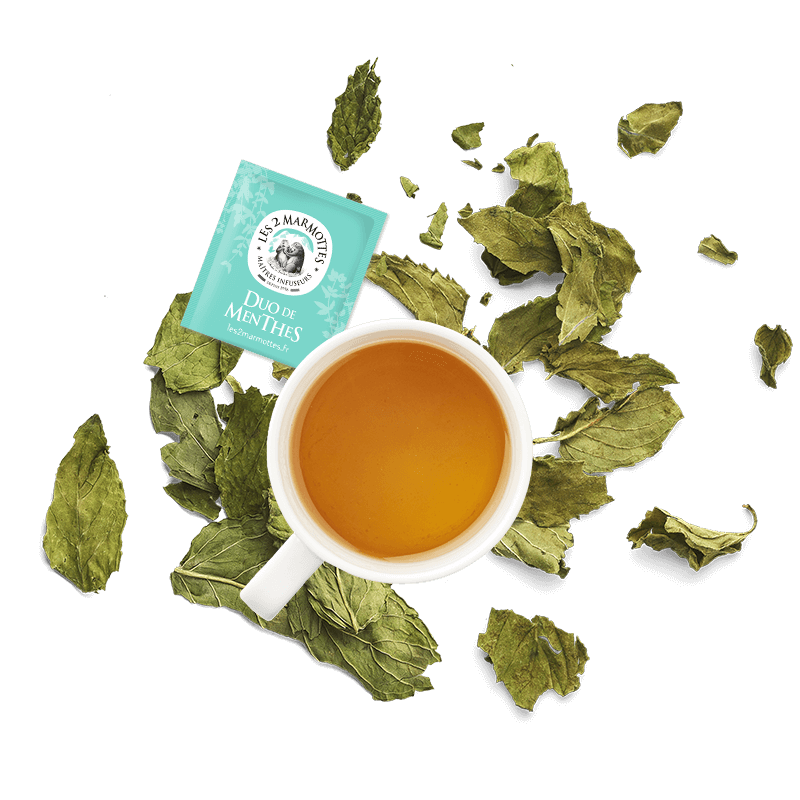 Tasse de tisane aux 2 menthes : menthe douce et menthe poivrée, sans arôme ajouté