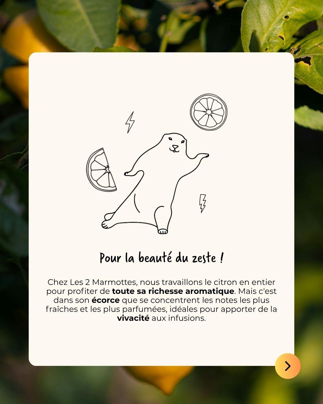 Savoir-faire les 2 marmottes : utiliser du vrai citron en infusion