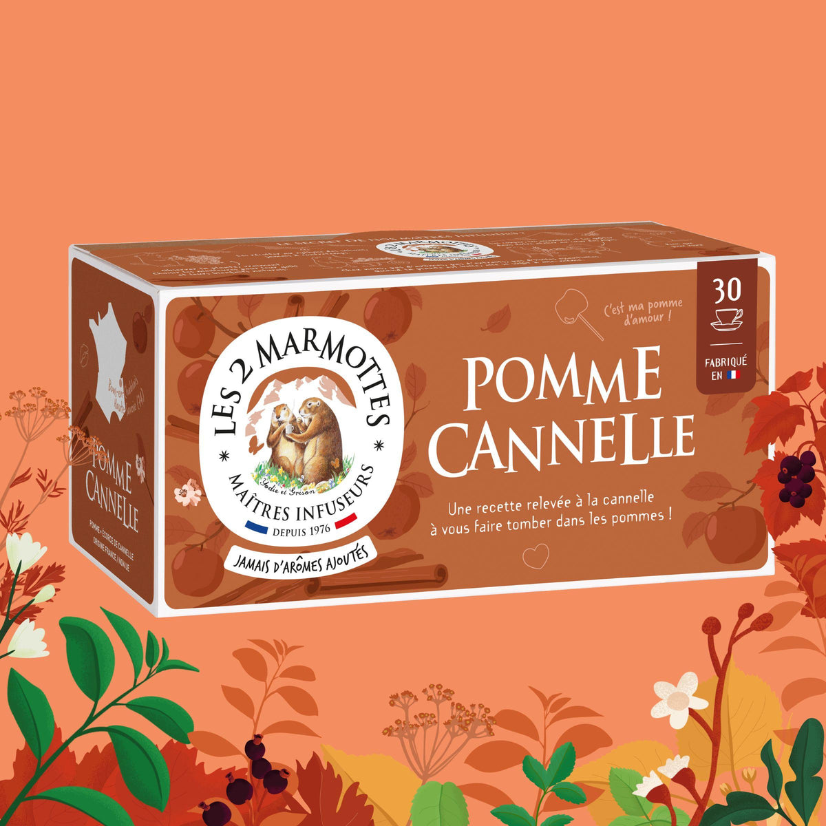Infusion Pomme Cannelle