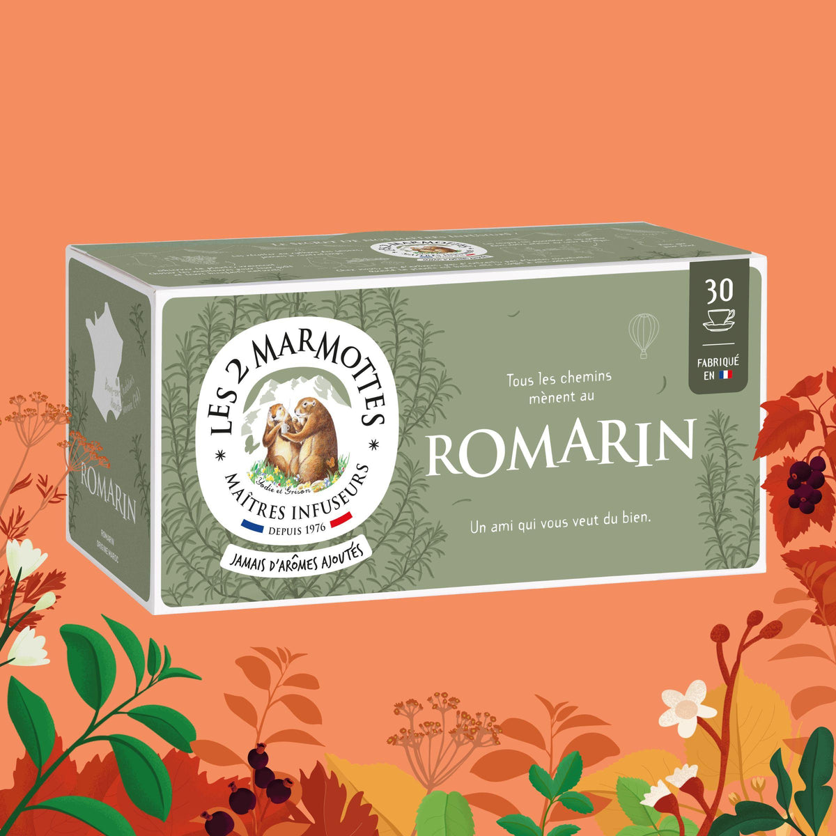 Infusion Romarin
