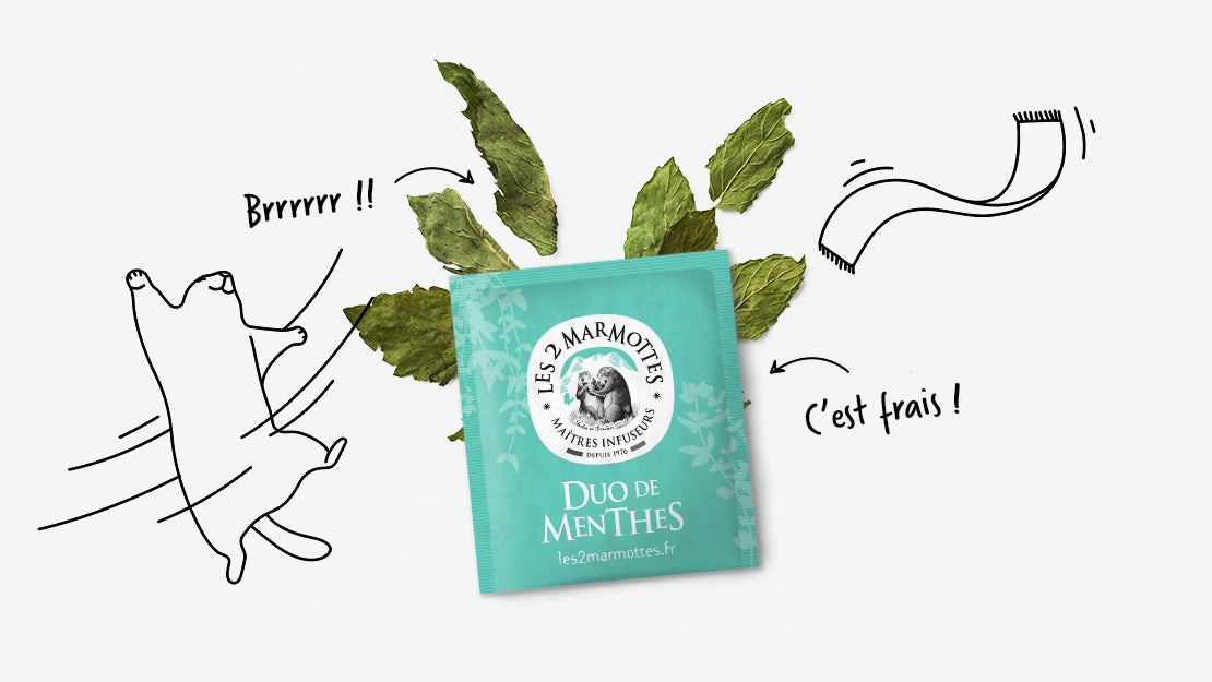 Duo de Menthes, fraîcheur garantie