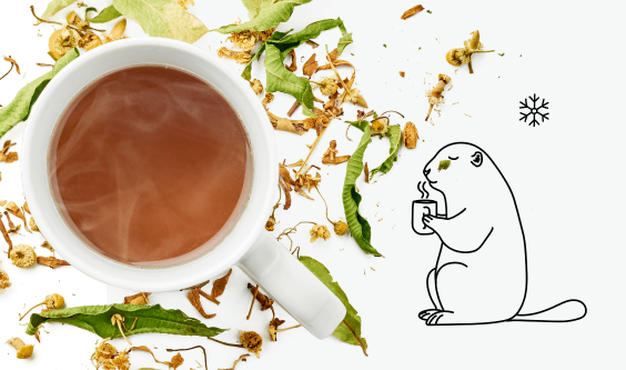 Quelles infusions pour dormir?