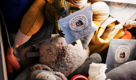 Les infusions des marmottons