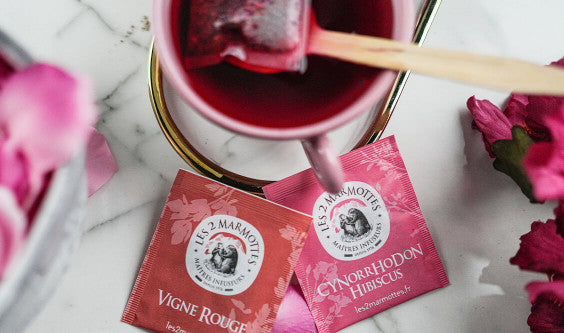 EN AVANT TOUTES ! : le bien-être façon Les 2 Marmottes