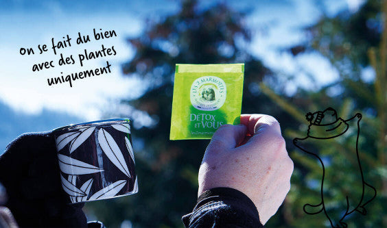 Nos plantes pour digérer les excès