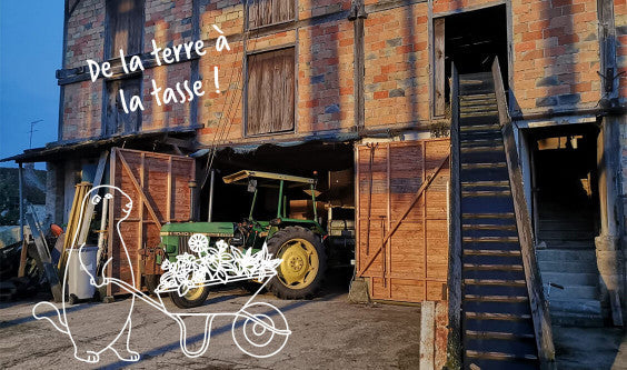 De la terre à la tasse !