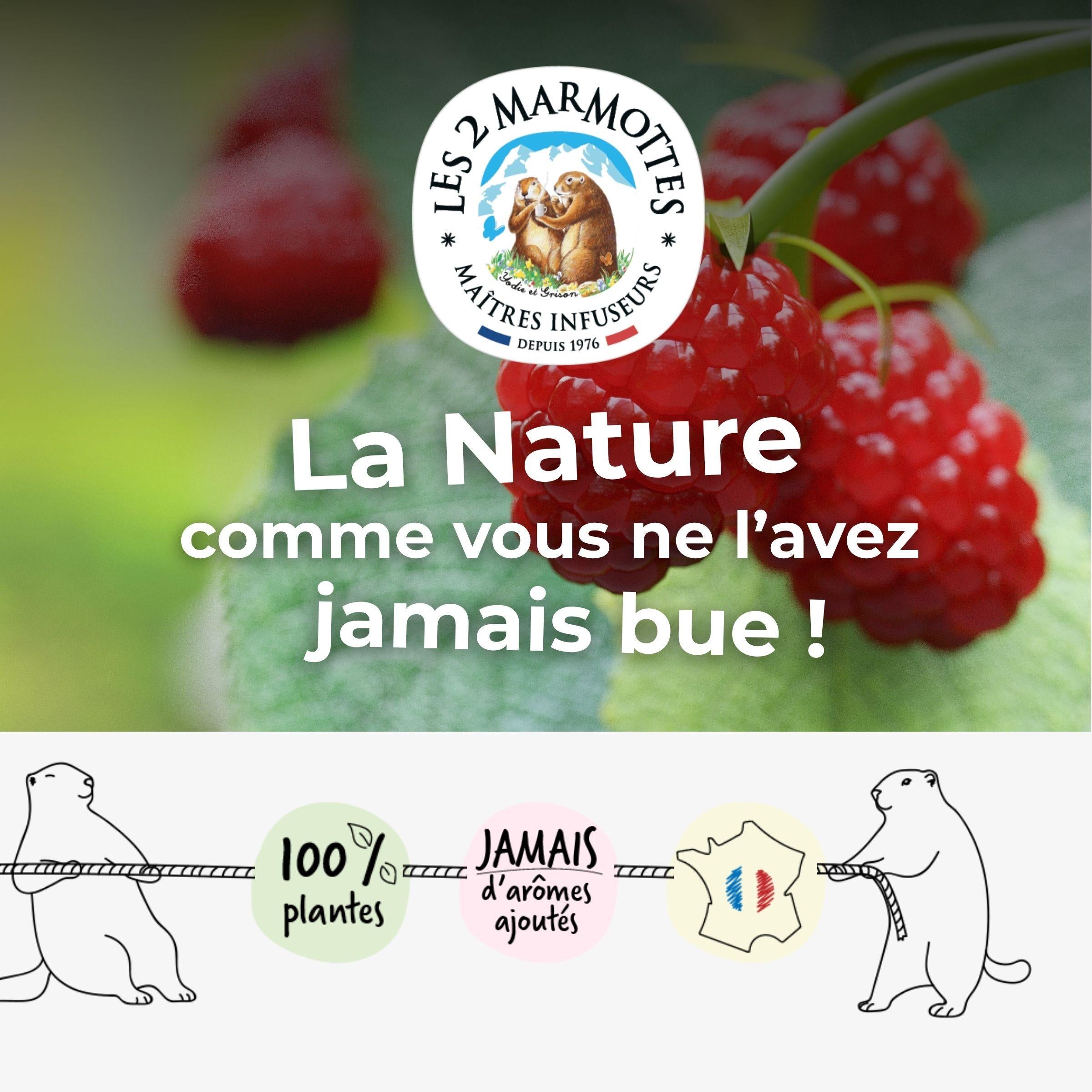 Les 2 marmottes, la nature comme vous ne l'avez jamais bue : infusions et thés 100% plantes, sans jamais d'arômes ajoutés, made in france