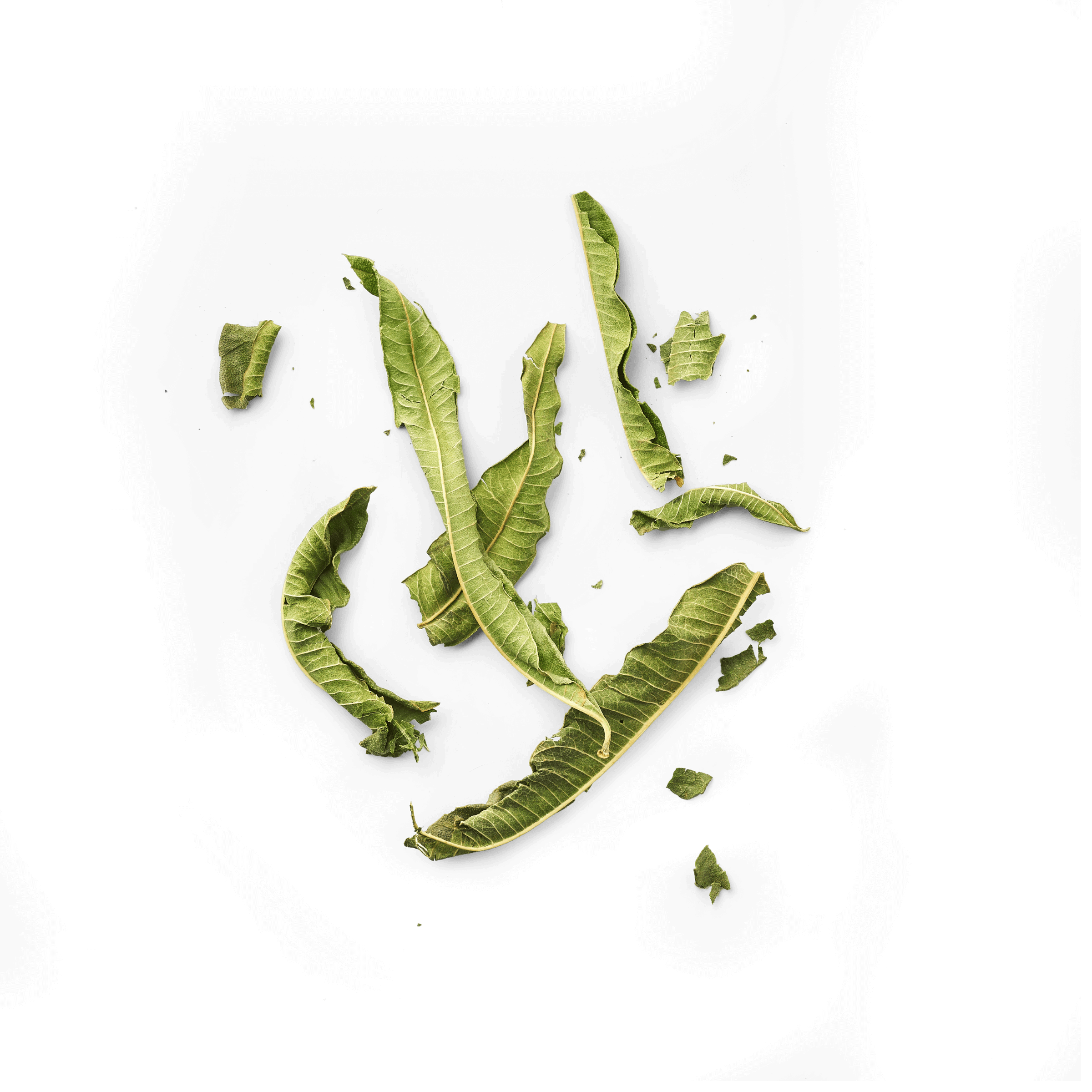 Verveine