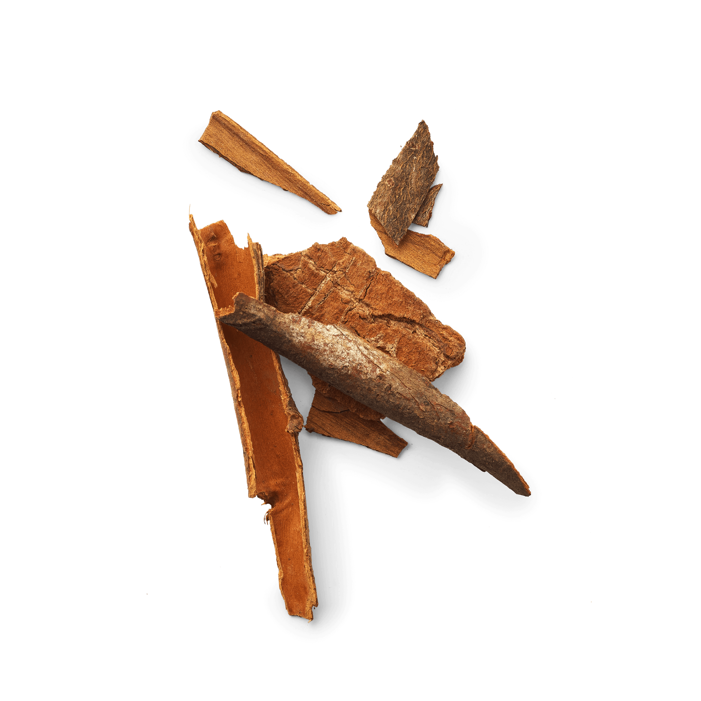 Cannelle