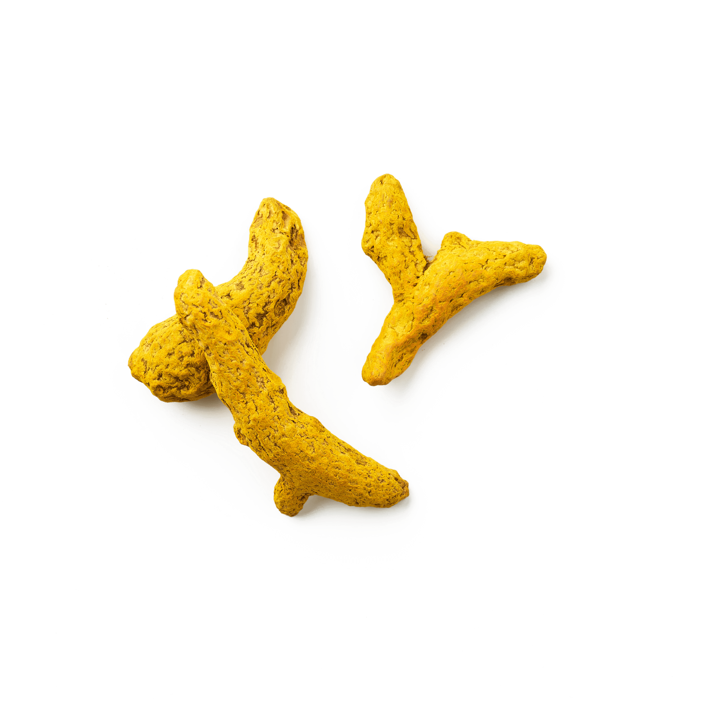 Curcuma