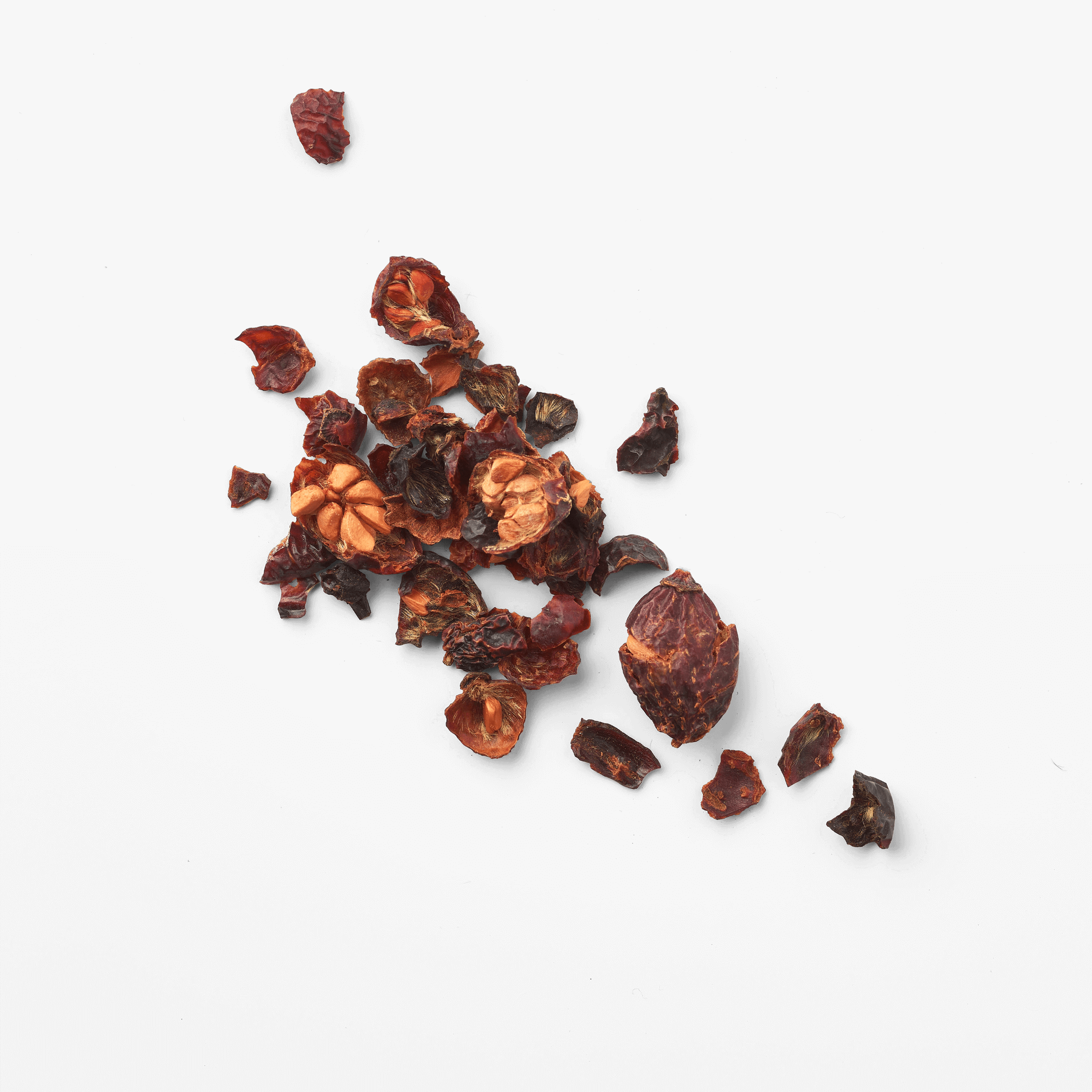 Cynorrhodon