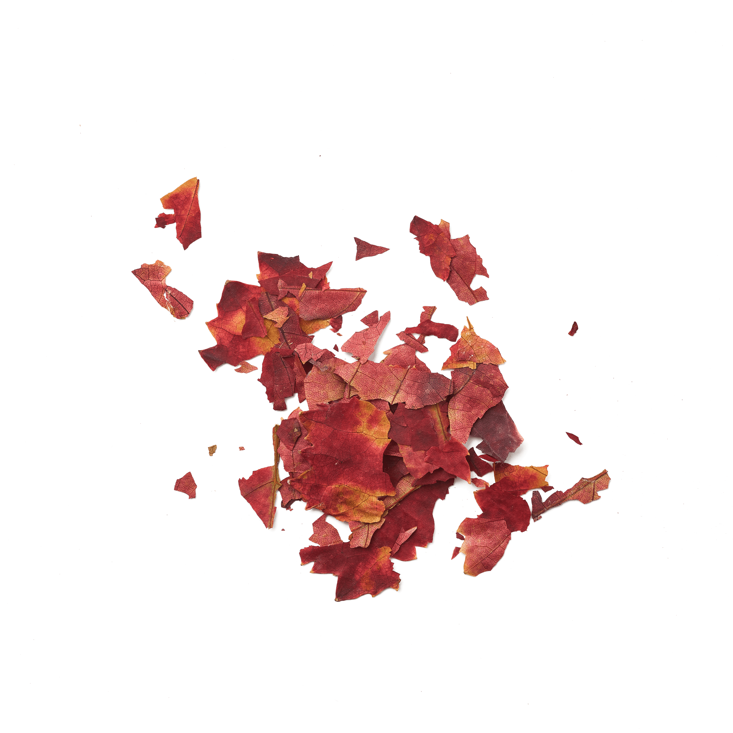 Vigne rouge