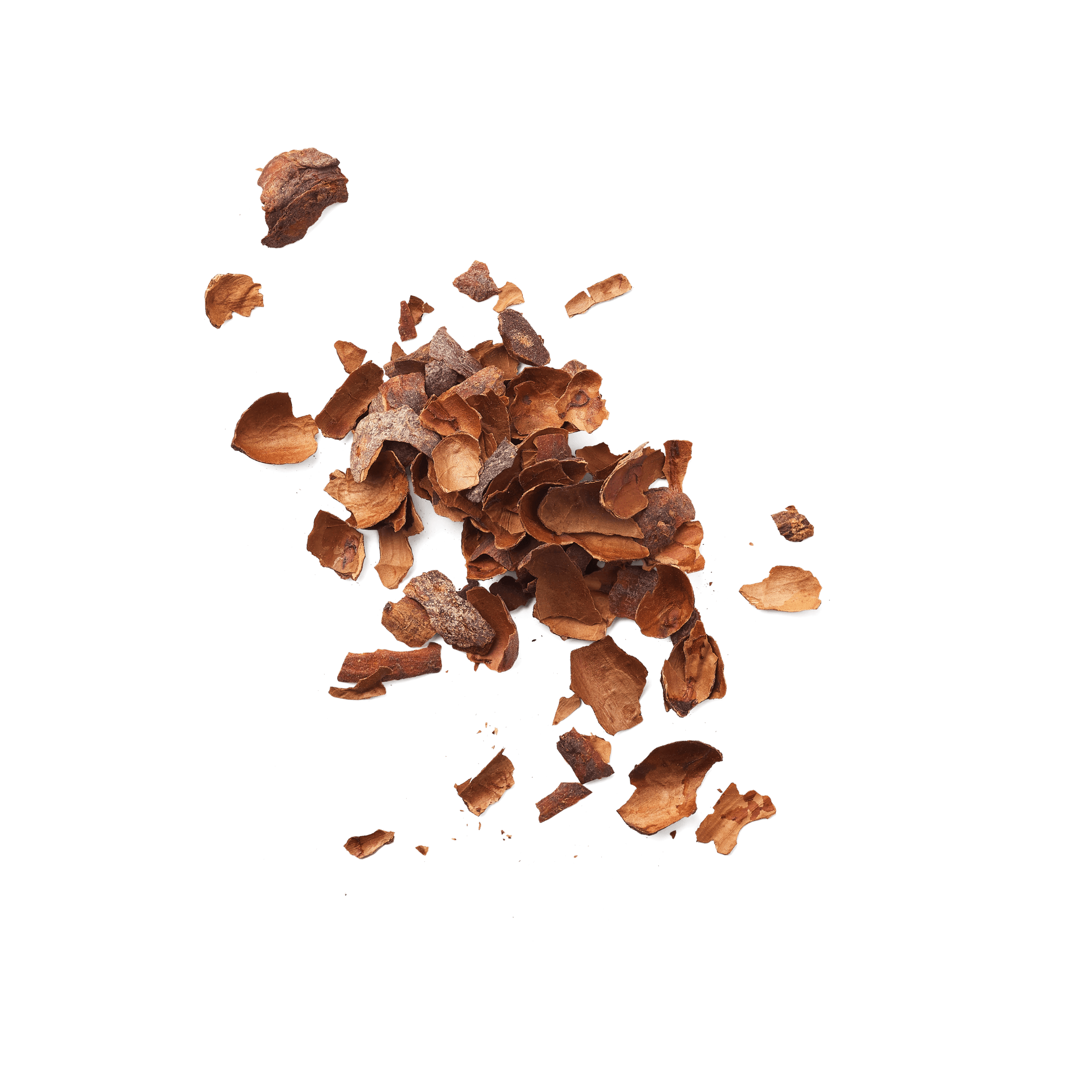 Ecorce de cacao