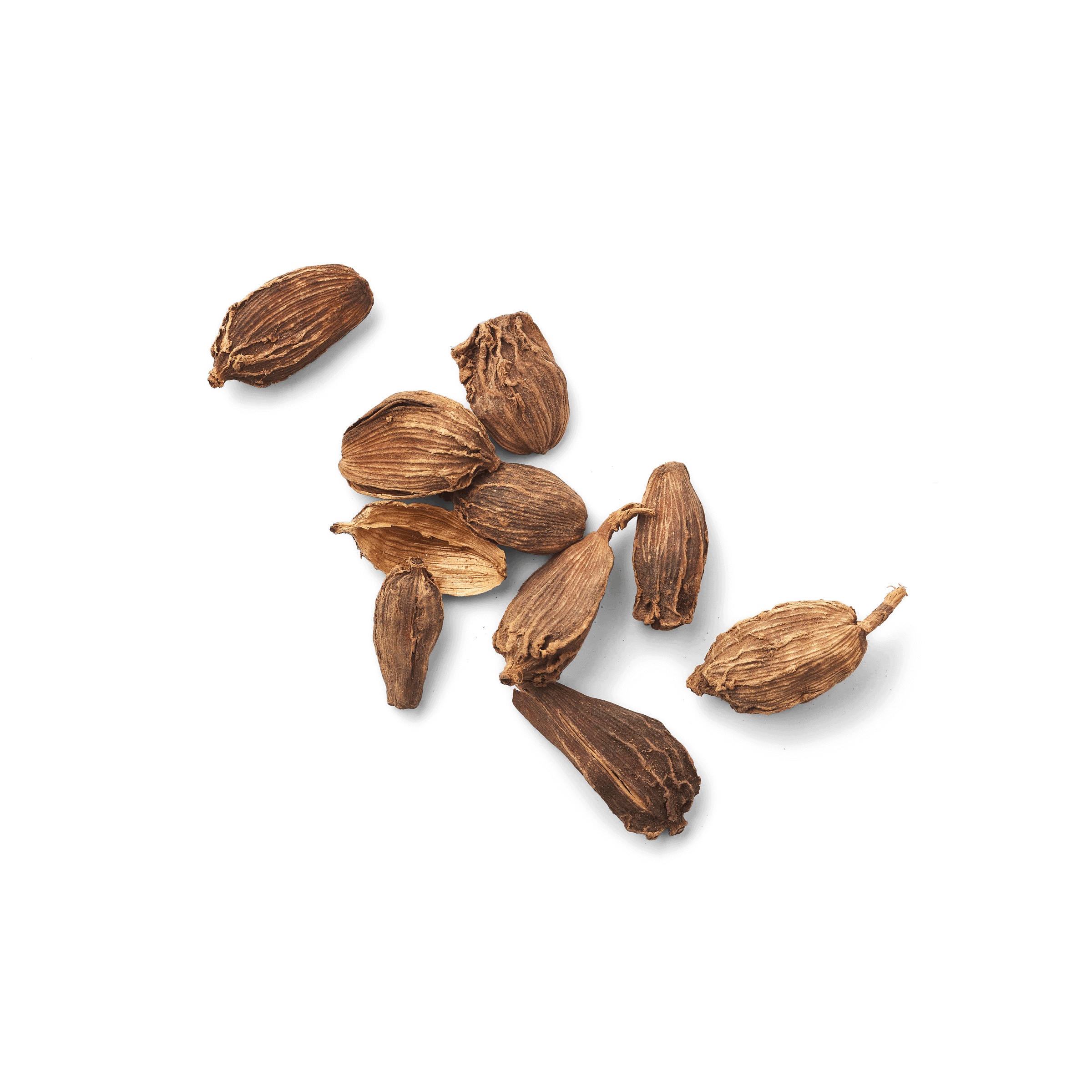 Cardamome