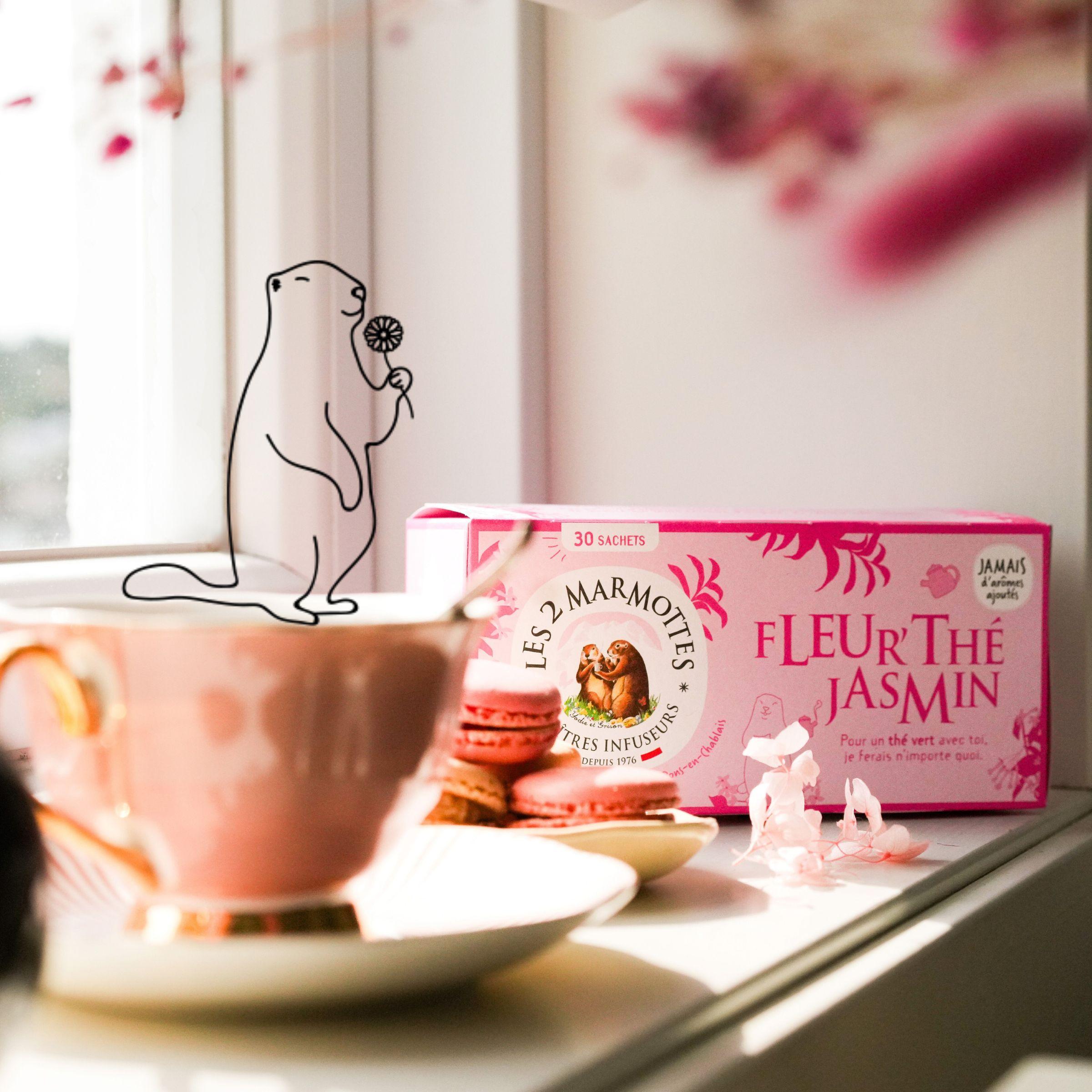 Tisanes et thés à boire au printemps, infusions les 2 marmottes detox et détente