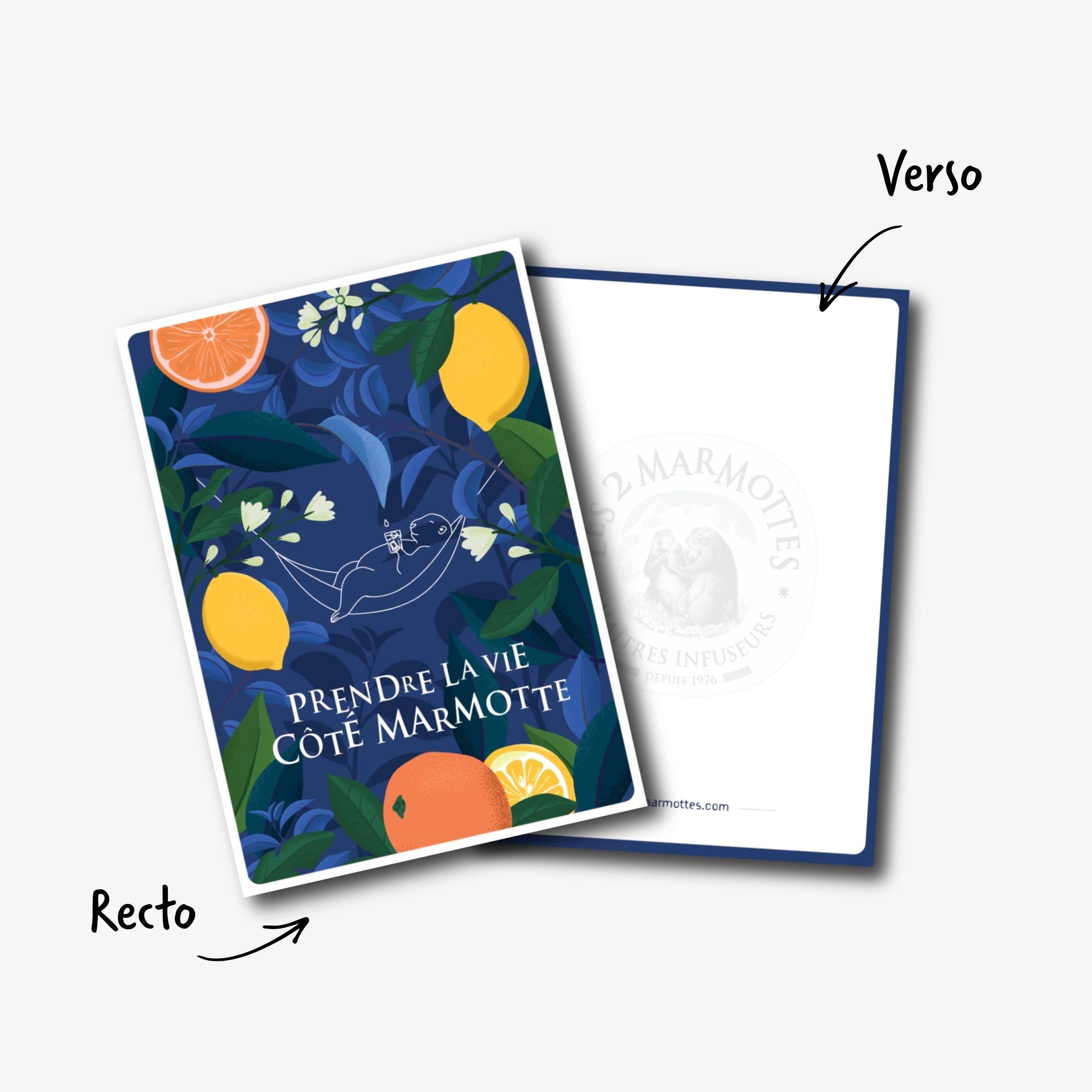 Détail recto / verso de la carte postale bleue "prendre la vie côté marmotte"
